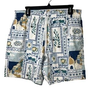 Abercrombie & Fitch Mens Relaxed Stretch Blue Greek Swim Shorts Vacation Beach L